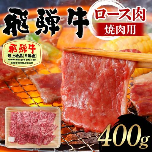 飛騨牛 A5等級 ロース肉 焼肉用 400g 牛 肉 等級 ロース 焼き肉 霜降り 飛騨 F4N-1685