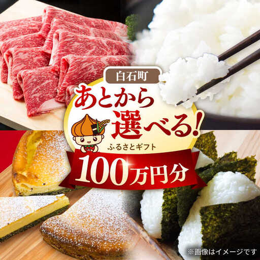【あとから選べる】佐賀県白石町ふるさとギフト 100万円分 / あとから [IZY019]
