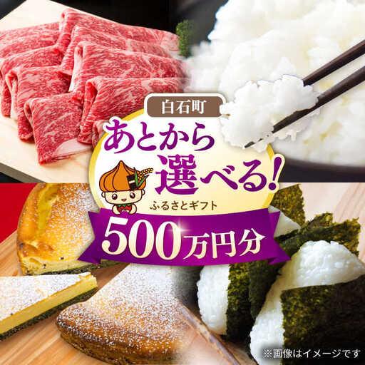 【あとから選べる】佐賀県白石町ふるさとギフト 500万円分 / あとから [IZY024]