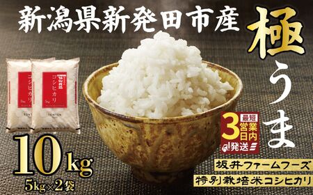 令和7年産 新潟県産 コシヒカリ 10kg (5kg×2袋) 坂井ファーム 特別栽培米コシヒカリ 新潟 新発田 米 玄米 精米 白米 ご飯 おにぎり 弁当 こしひかり おこめ せいだ 新潟 新発田 D34_04