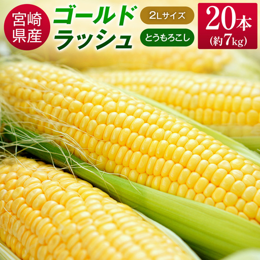 2027年出荷 ゴールドラッシュ とうもろこし 7kg(2Lサイズ×20本)B426-27