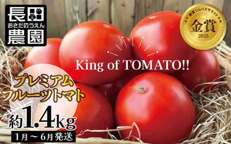 [2027年度予約分]期間限定!プレミアムフルーツトマト 約1.4kg 長田農園 産地直送 トマト とまと 野菜 やさい フルーツ サラダ 濃厚 甘い ご褒美 プレゼント 美容 健康 リピート多数 人気 高評価 先行受付 数量限定 碧南市