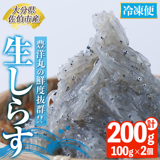 豊洋丸の鮮度抜群！ 生しらすセット (計200g・100g×2個) 冷凍 しらす しらす丼 丼ぶり 魚 さかな ご飯 ごはん 炒飯 チャーハン パスタ サラダ 国産 大分県 パック 小分け 便利 大分県 佐伯市【HK01】【OITAしらすhoyomaru豊洋丸】
