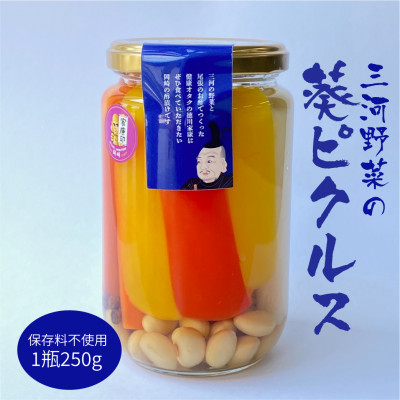 三河野菜の葵ピクルス あいちの家康酢漬 250g 1本