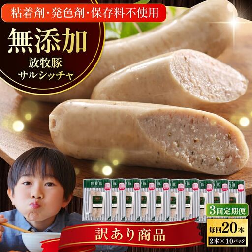 【全3回定期便】【訳あり】【結着剤・発色剤・保存料不使用】 放牧豚 サルシッチャ 2本x10セット（90g/パック） 訳あり ソーセージ ウインナー 無塩せき 冷凍配送 セット 詰め合わせ 北海道 [AXBA075]