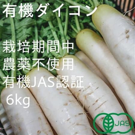 有機大根　有機JAS認証　煮物やおでんに最適　冬の味覚(12～3月発送)【配送不可地域：離島・北海道・沖縄県】【1568580】