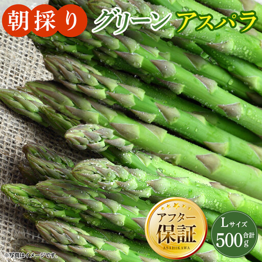 朝採り グリーンアスパラ L 500g (2027年5月下旬発送開始) | アスパラ 北海道