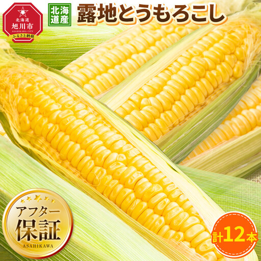 【先行予約】露地とうもろこし　合計12本　2026年8月下旬から発送開始 | とうもろこし 北海道 _04755