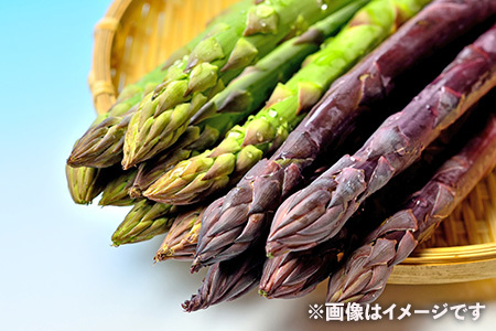 【グリーンvs紫】食べ比べアスパラガス1.0kg（Lサイズ以上）【2027年2月～4月末発送】 CC05