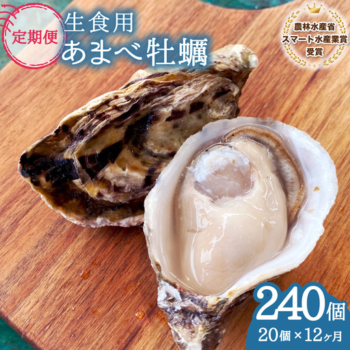 【あまべ牡蠣 20個 12ヶ月連続定期便】あまべ牡蠣 20個 12ヶ月定期便 240個 牡蠣 シングルシード 生食用 殻付き かき カキ オイスター 生ガキ 生牡蠣 生がき 生かき ギフト 貝 旨味
