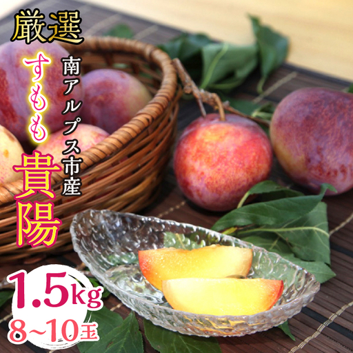 ＜2026年発送分先行予約＞厳選 貴陽すもも 約1.5kg 8玉～10玉 山梨県南アルプス市産 ALPBV008