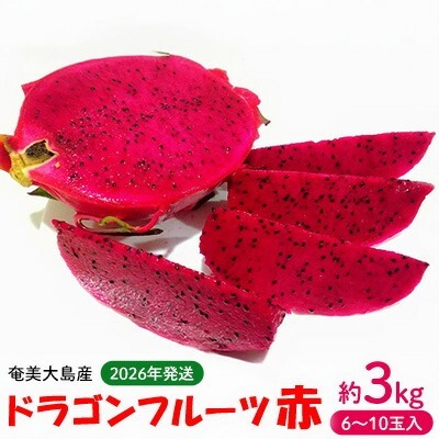 2026年発送[奄美大島産]ドラゴンフルーツ赤 約3kg(6〜10玉入) 果物 フルーツ