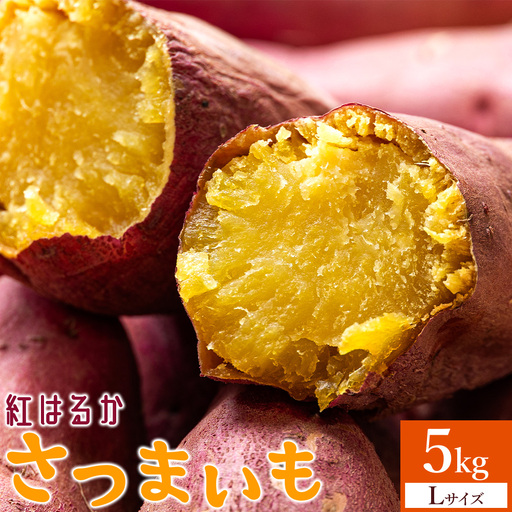 さつまいも(紅はるか) Lサイズ 5kg【さつまいもさつまいもさつまいもさつまいもさつまいもさつまいもさつまいもさつまいも】 at-0062