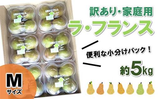 【令和8年産先行予約】〈訳あり品 家庭用〉 ラ・フランス 約5kg (4玉×6パック Mサイズ) 《令和8年11月上旬～発送》 『田口農園』 ラフランス 西洋梨 洋なし 果物 フルーツ デザート 山形県 南陽市 [1294-R8]