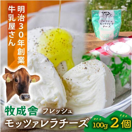 [牧成舎]飛騨の牛乳屋さんが作った こだわりの フレッシュモッツァレラチーズ(100g×2個)| チーズ