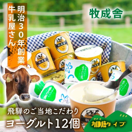 ＜牧成舎＞ 牛乳屋さんのご当地 ヨーグルト 12個（加糖タイプ）| ヨーグルト DF037