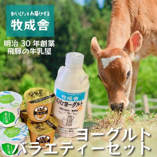 [牧成舎]飛騨の牛乳屋さんが作った こだわりの ヨーグルトバラエティー7点セット(ヨーグルト2種6個・のむヨーグルト750ml×1本)