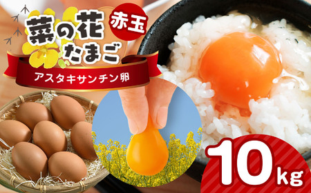 [2週間以内発送]赤玉 サイズLM アスタキサンチン卵 10kg|菜の花エッグ 自社農場 すぐ発送 常温 抗酸化 健康 新鮮 卵かけご飯 ギフト 君津養鶏場直送|千葉県 君津市