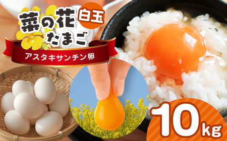[2週間以内発送]白玉 サイズLM アスタキサンチン卵 10kg|菜の花エッグ 自社農場 すぐ発送 常温 抗酸化 健康 卵かけご飯 ギフト 君津養鶏場直送|千葉県 君津市