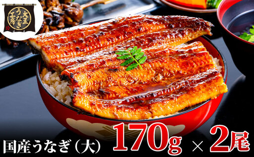 うなぎ 国産 蒲焼 2尾 計340g 大五うなぎ工房 冷凍 うなぎ