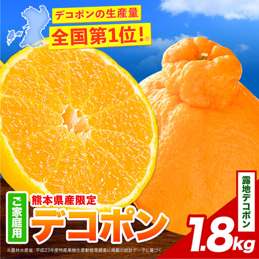 デコポン約1.8kg 露地デコポン