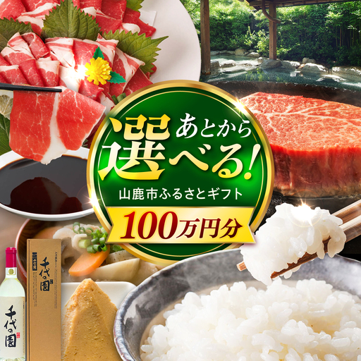 [あとから選べる]山鹿市ふるさとギフト 100万円分 米 牛肉 豚肉 馬刺し くまもと黒毛和牛 定期便 山鹿