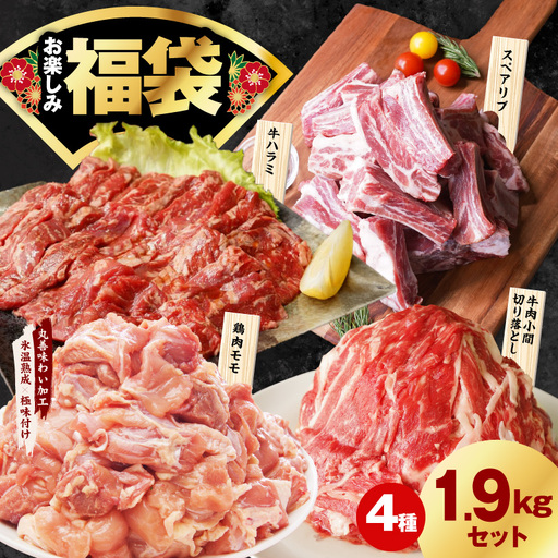 肉福袋 4種 1.9kg 焼肉セット(牛肉 切り落とし/牛ハラミ/豚肉 スペアリブ/鶏肉)