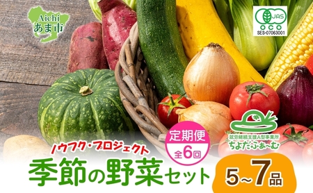 野菜詰合せ 季節の野菜 有機栽培 無農薬 千代田ファーム 野菜詰合せ【定期便 全6回】【冷蔵】
