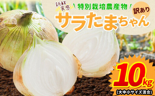 玉ねぎ 訳あり サラ玉10kg 玉ねぎ
