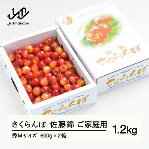 [先行予約] さくらんぼ 佐藤錦 秀Mサイズ ご家庭用 バラ詰め 1.2kg(600g×2箱) 2027年産 令和9年産 山形県産 ns-snsmb1200