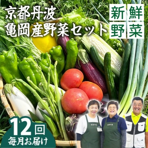 【12回定期便】旬の朝採れ 新鮮野菜セット 野菜 7～10品 