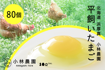 平飼い有精卵 80個[常温便]たまご たまご たまご たまご [AXAN121]