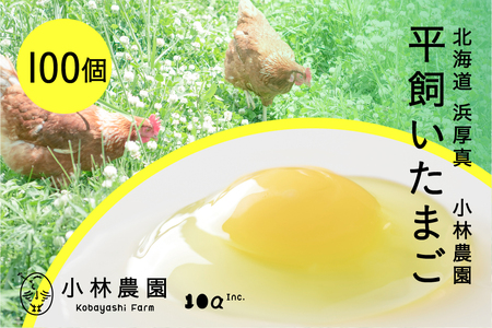 平飼い有精卵 100個[常温便] たまご 卵 鶏卵 玉子 生卵 平飼い 北海道 [AXAN122]