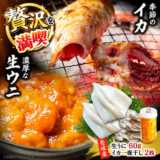 【お中元】季節のイカ一夜干し2枚＋生ウニ60g 《壱岐市》【合同会社塚元】 [JDR025] ウニ イカ セット