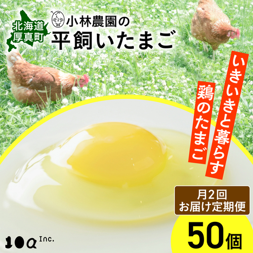 【月2回 2ヵ月定期便】平飼い有精卵 50個 計200個 冷蔵便 [AXAN020]