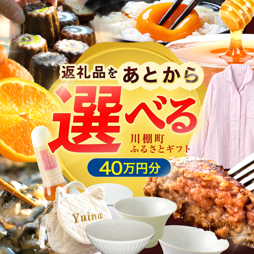 [あとから選べる]川棚町ふるさとギフト 40万円分 長崎県 川棚町 