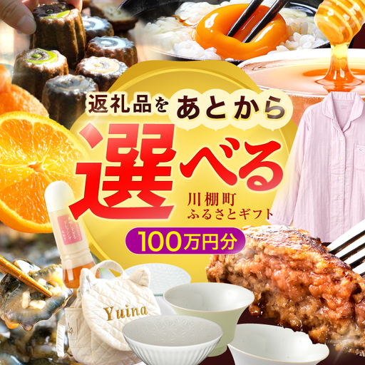【あとから選べる】川棚町ふるさとギフト 100万円分 長崎県 [OZZ024]