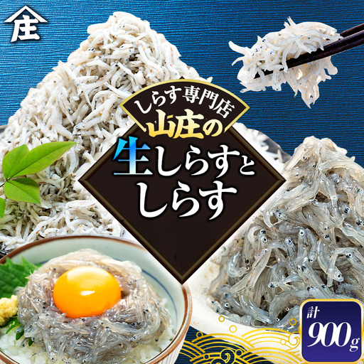 生しらす 400g 訳あり しらす干し 500g セット 冷凍 刺身 真空パック 炒飯 パスタ ごはん 丼 サラダ 魚 料理 愛知県 南知多町 師崎 山庄水産
