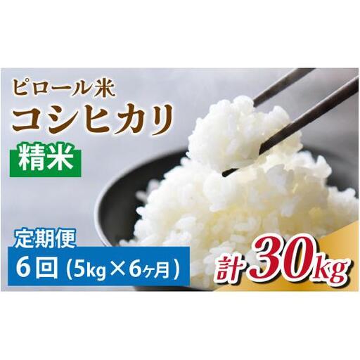 【6ヶ月定期便】富山県滑川産 弱アルカリ性米「ピロール農法米 コシヒカリ」（精米5kg）×6回 計30kg 与文のお米 産地直送 こしひかり おにぎり お米 白米 国産 ご飯 ごはん 滑川市 ピロール アグリめぐみ 頒布会  30kg J-050001   アトピー 米