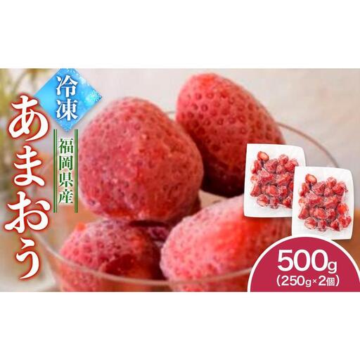 福岡県産　冷凍あまおう500g（250ｇ×2個）