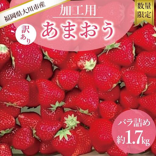 【2027年5月以降順次発送】訳あり加工用あまおういちご バラ詰め福岡県産 たっぷり約1.7kg＜配送不可：北海道、沖縄県、離島＞