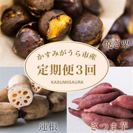 【発送月固定定期便】茨城県 特産品3種全3回_果物・フルーツ 栗  くり クリ  野菜 さつまいも いも サツマイモ 薩摩芋  野菜 レンコン 根菜 れんこん 蓮根  定期便 定期便  _【配送不可地域：離島】【4062740】