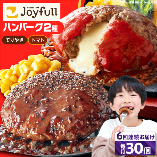 【全6回定期便】ジョイフル ハンバーグ スペシャル 詰め合わせ 2種 30個 セット [ABAA079]