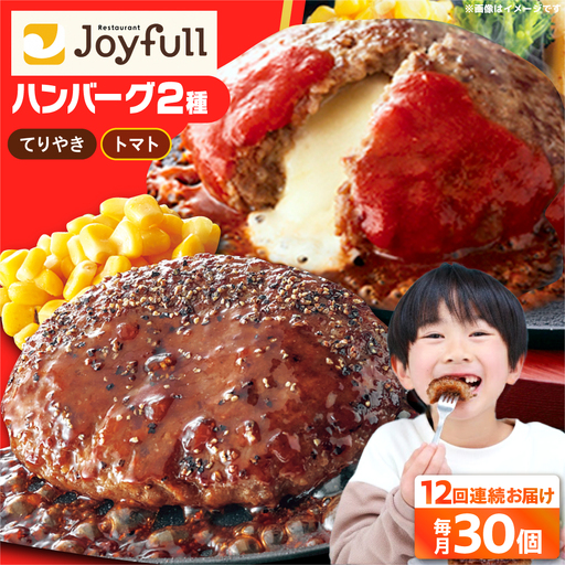 【全12回定期便】ジョイフル ハンバーグ スペシャル 詰め合わせ 2種 30個 セット [ABAA080]