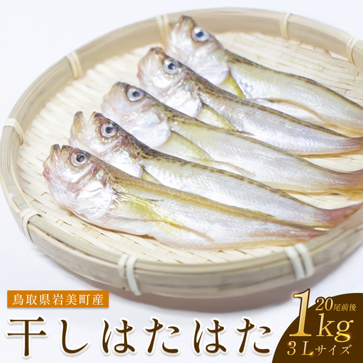 干しはたはた 1kg（3L）20尾前後｜鳥取 岩美 山陰 日本海 ハタ 干物【24025】