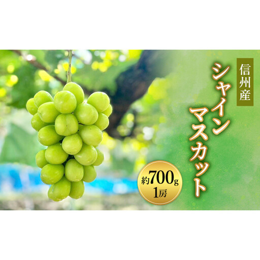 信州峰ファーム 信州産シャインマスカット約700g(1房)2026年9月初旬から10月中旬発送 | シャインマスカット 甘い 大粒 皮ごと