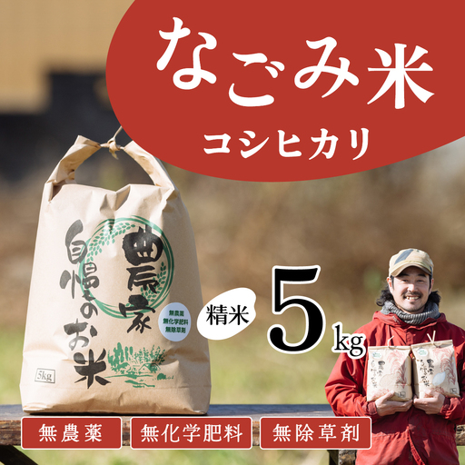【10月発送】茨城県下妻市産 なごみ米 （ コシヒカリ ） 精米 5kg 【 お米 コシヒカリ 米 無農薬 無化学肥料 無除草剤 精米 ブランド米 茨城県産 】