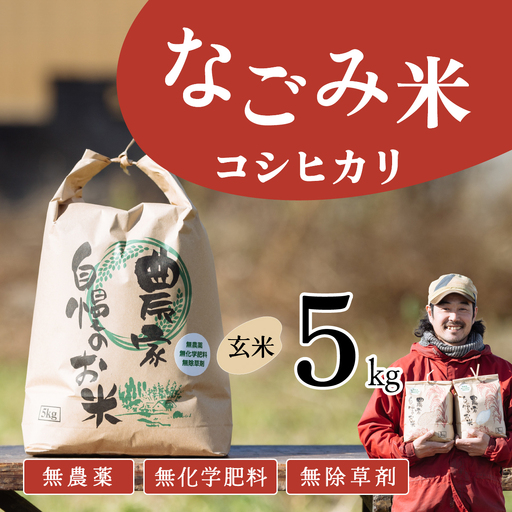 【10月発送】茨城県下妻市産 なごみ米 （ コシヒカリ ） 玄米 5kg 【 お米 コシヒカリ 米 無農薬 無化学肥料 無除草剤 玄米 ブランド米 茨城県産 】