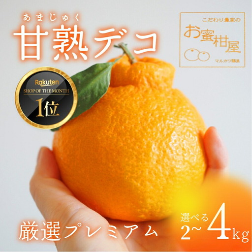 完熟しらぬい 3kg レギュラー箱 みかん デコポン みかん