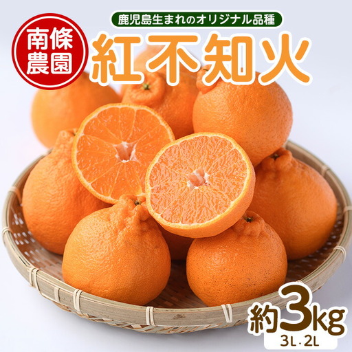 [先行予約]紅 不知火 (3L・2L) 約3kg しらぬい みかん ミカン 蜜柑 柑橘 果物 くだもの フルーツ [南條農園]nannjyo-7260